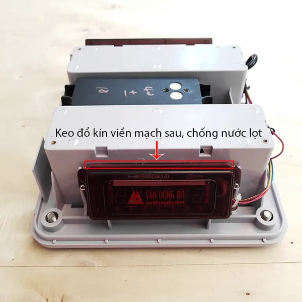 Cân Thủy Sản JWP Jadever